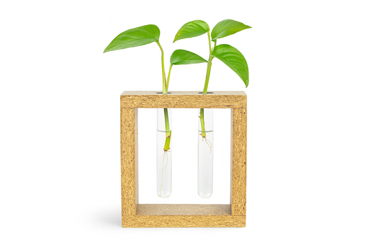 Planter Wall Frame